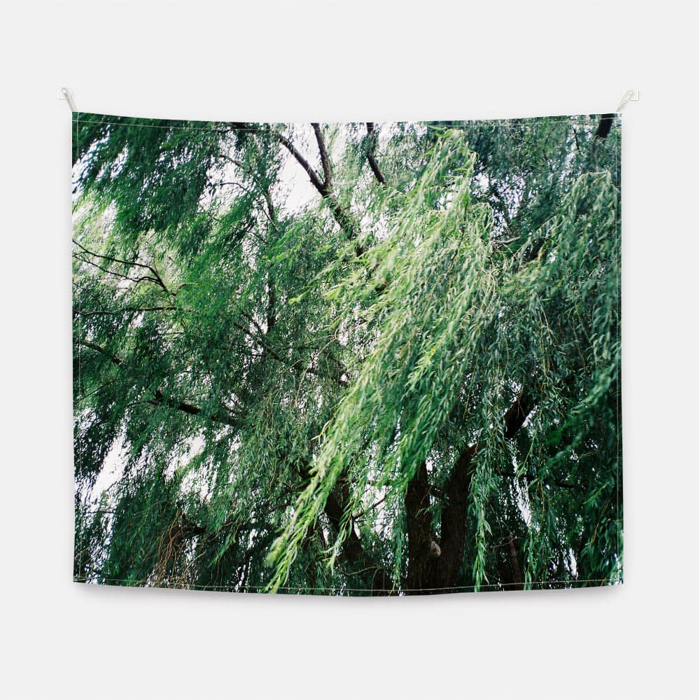 Dancing willow 패브릭 포스터 대형 이미지