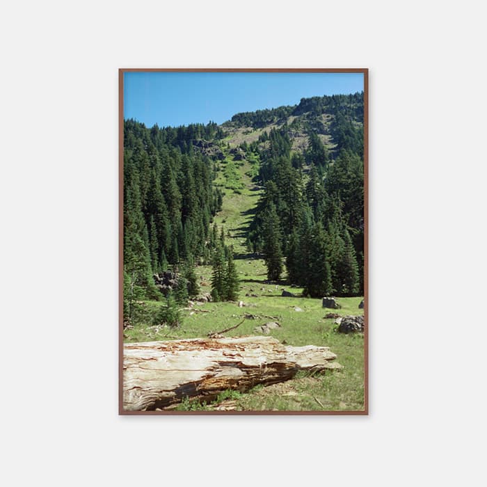 On my way 포스터 이미지