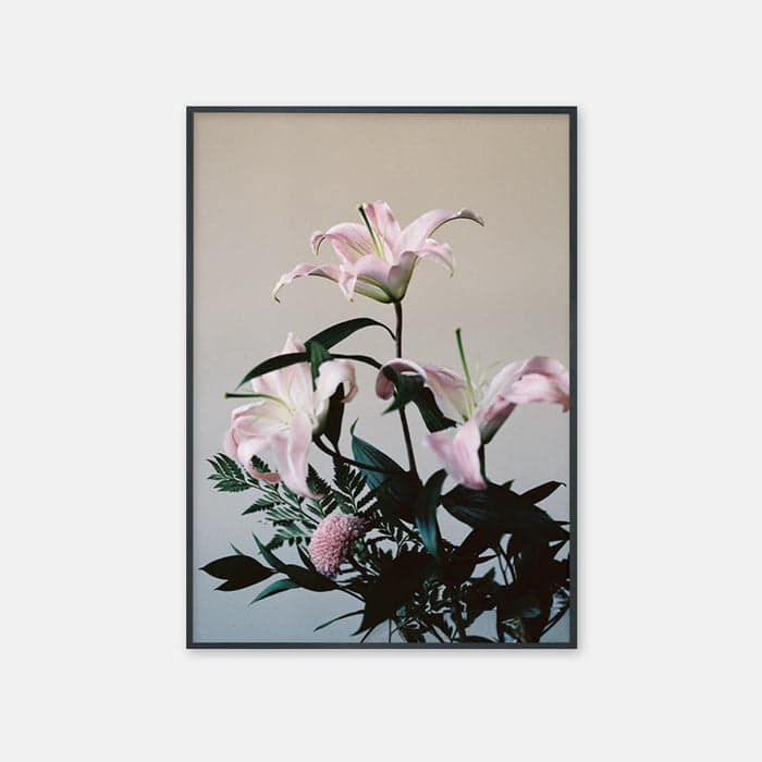 lily 0002 포스터 이미지