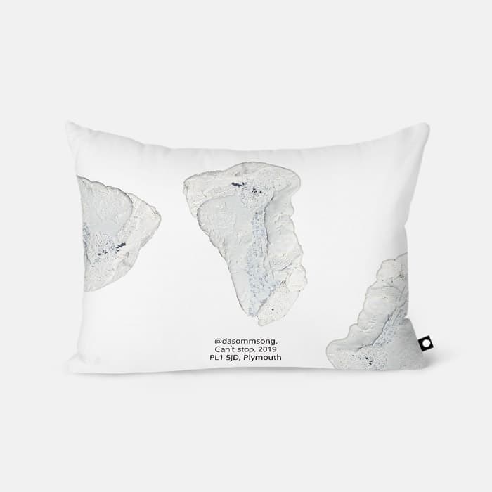 Can’t stop 베개 커버 이미지