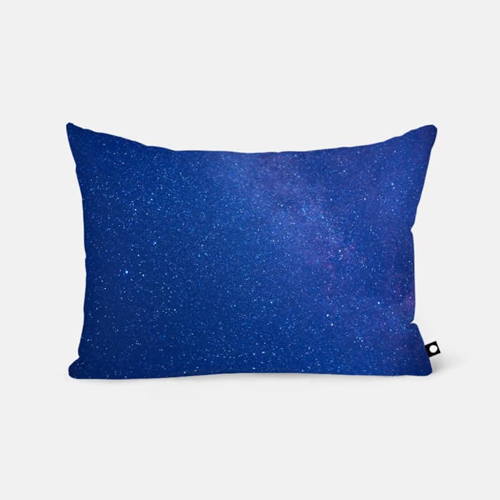 나는 쓸쓸함을 배우려고 세상에 태어났어(I came into the world to learn solitude) 베개 커버 이미지