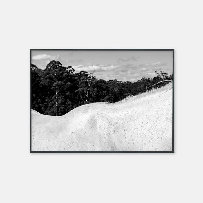 어깨 포스터 이미지