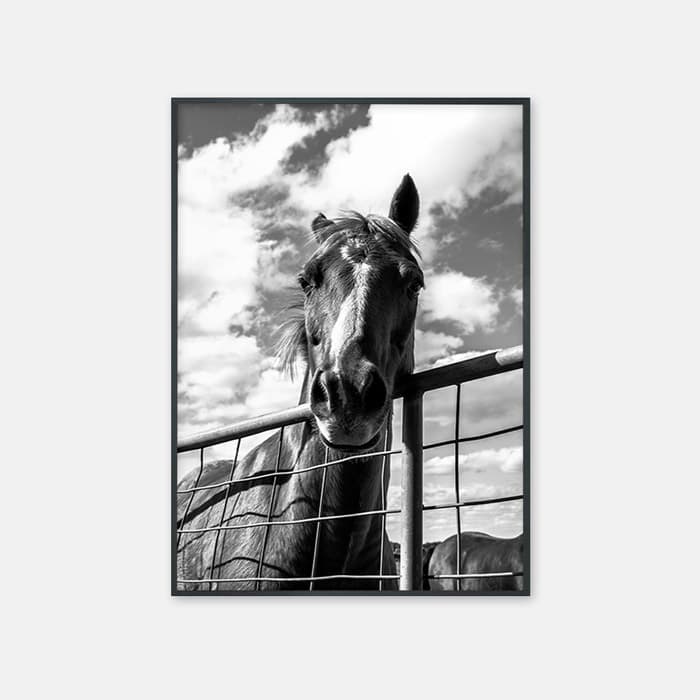 소년1 포스터 이미지