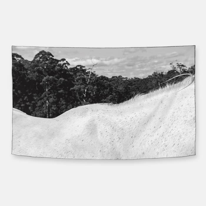 어깨 쉬폰 패브릭 포스터 이미지