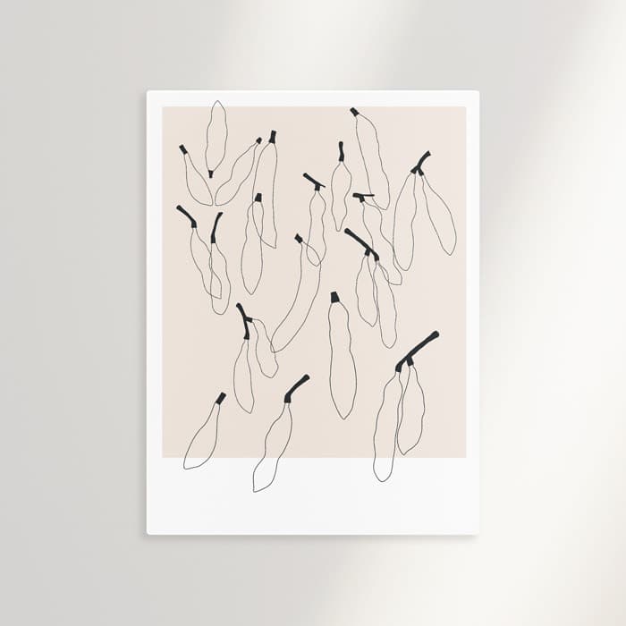 Seed pods 01 캔버스 액자 이미지