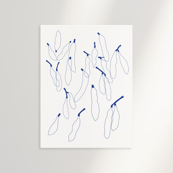 Seed pods 02 캔버스 액자 이미지