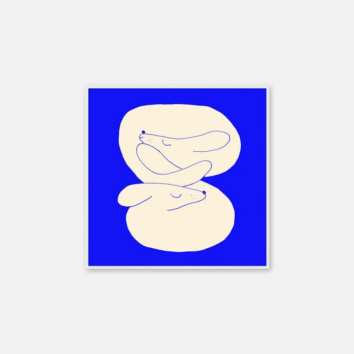 NAP 포스터 이미지