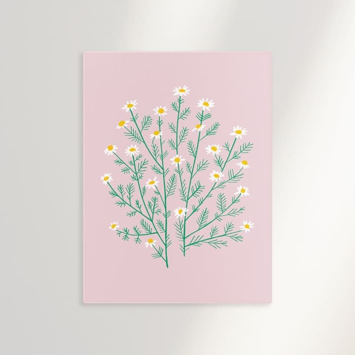 Chamomille 캔버스 액자 이미지