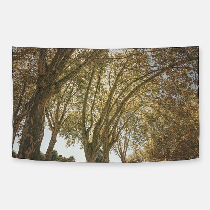 나무 그늘 아래 쉬폰 패브릭 포스터 이미지