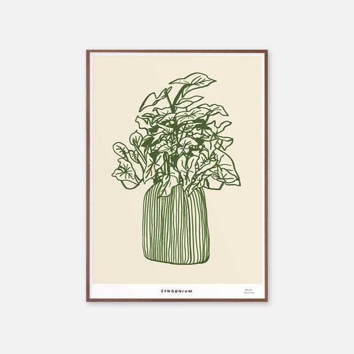 The Syngonium Potted plant 포스터 이미지