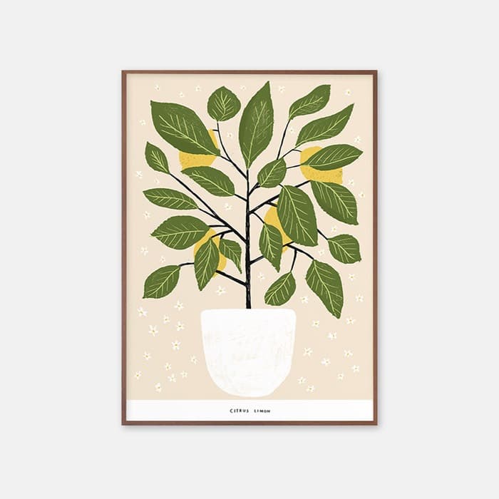 Lemon Tree 포스터 이미지