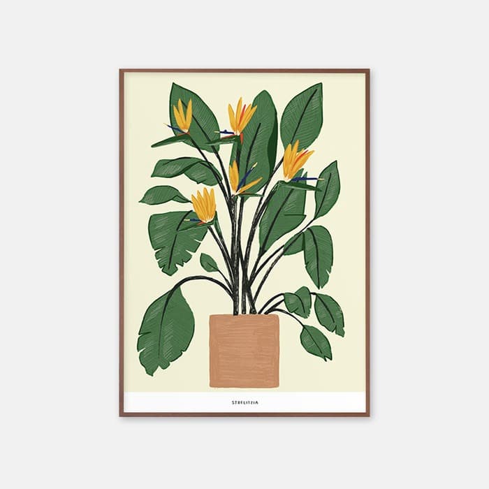 Bird of Paradise 포스터 이미지