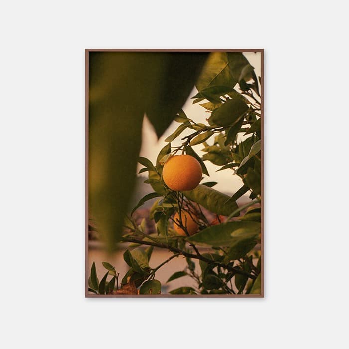 Orange 포스터 이미지