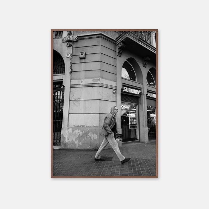 A Stroll Through Time 포스터 이미지