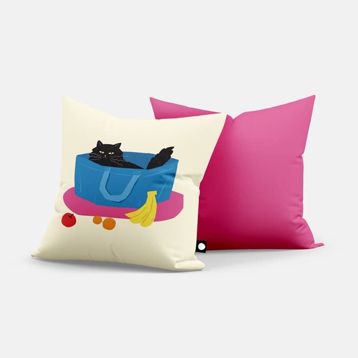 Blue bag 쿠션 커버 이미지