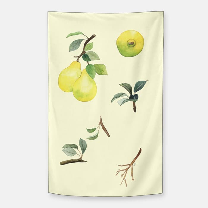 모과 쉬폰 패브릭 포스터 이미지