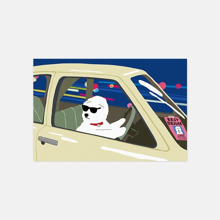 Best Driver 소프트 규조토 발매트 이미지