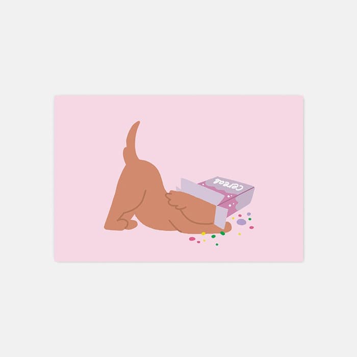 [NEW] CEREAL 소프트 규조토 발매트 이미지