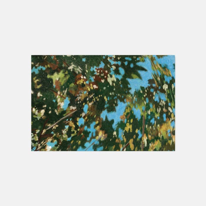 [NEW] Sky through the trees 소프트 규조토 발매트 이미지