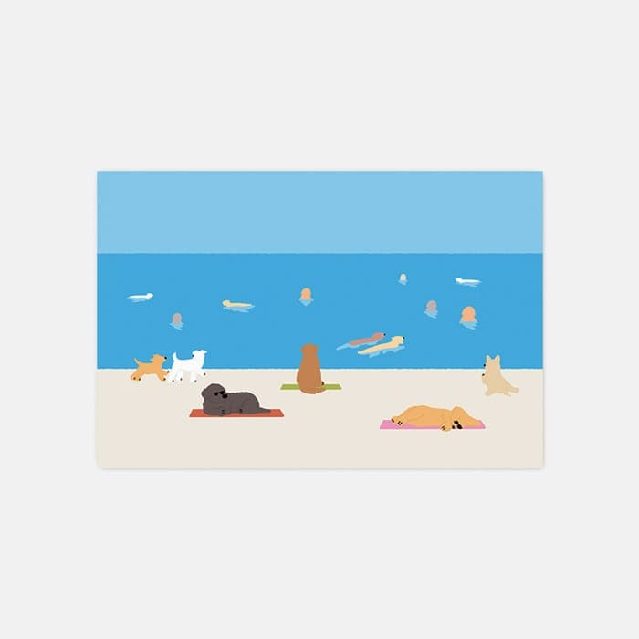 [NEW] DOG BEACH 소프트 규조토 발매트 이미지