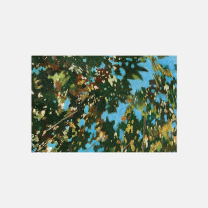 Sky through the trees 소프트 규조토 발매트 이미지