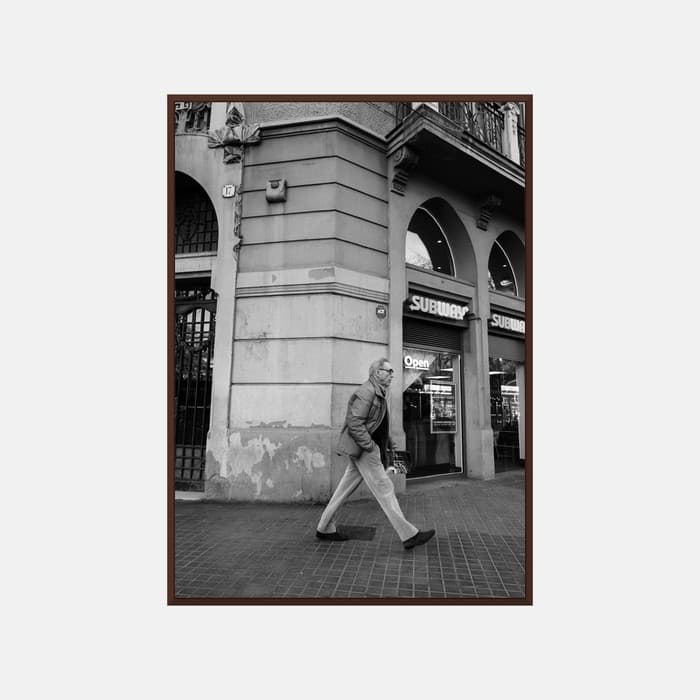 A Stroll Through Time 포스터 이미지