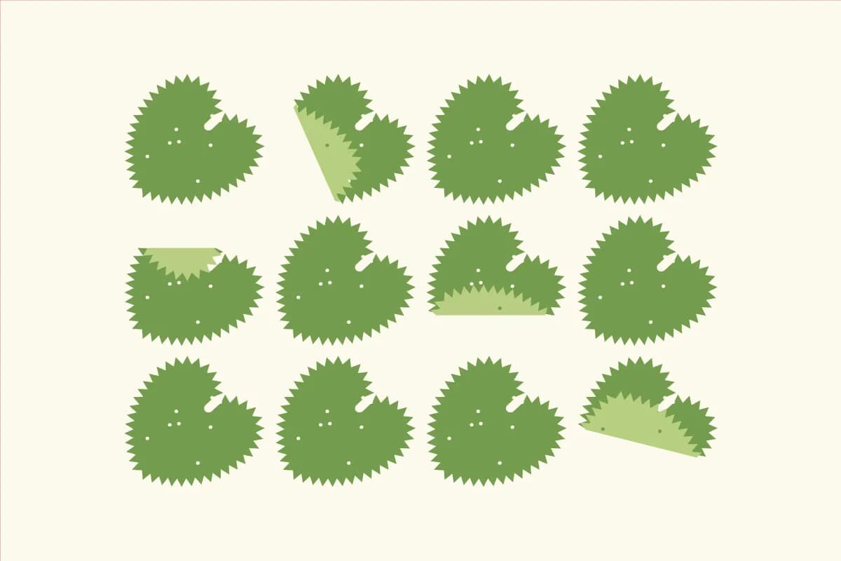 갤러리 이미지 5