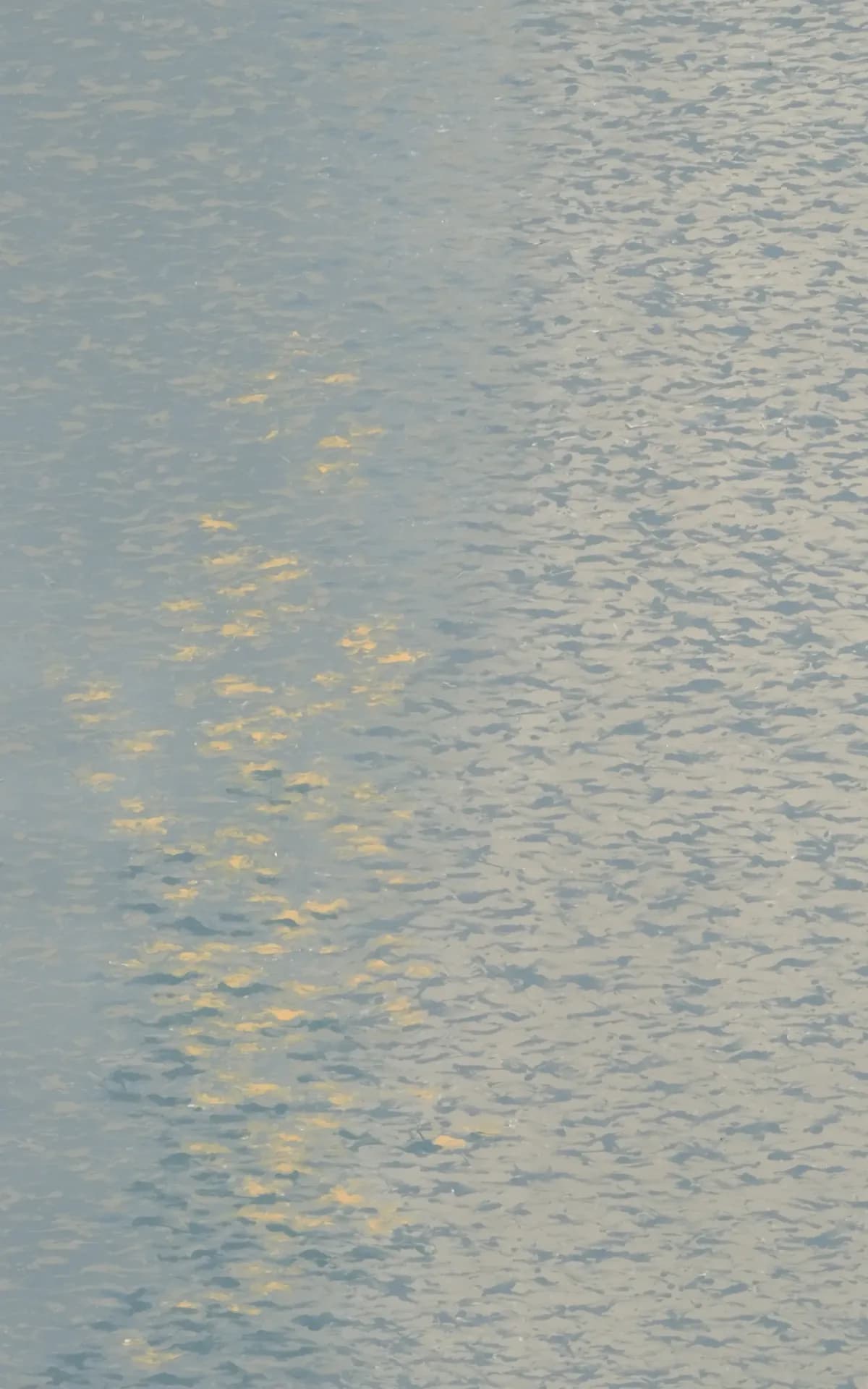 돌아올 마음과 항상 있었던 마음