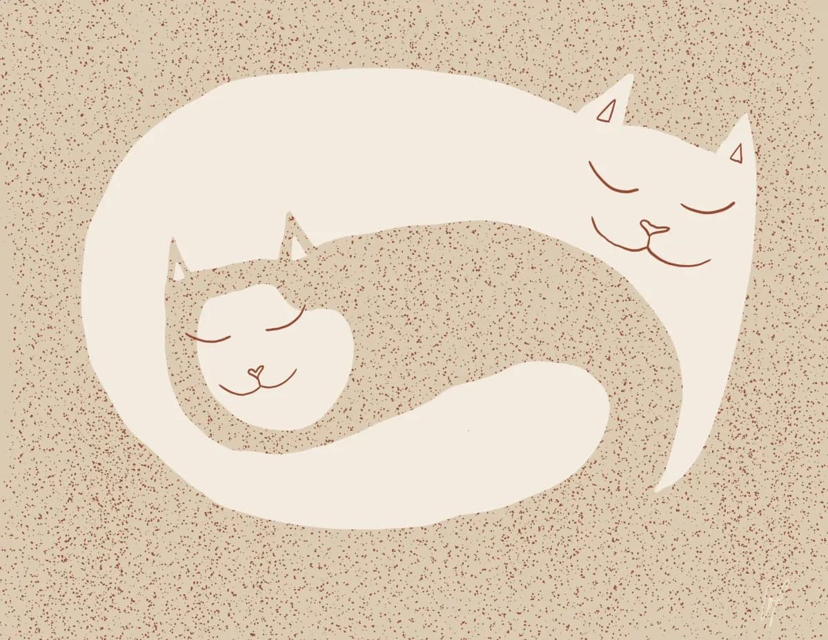 Sleeping Cats