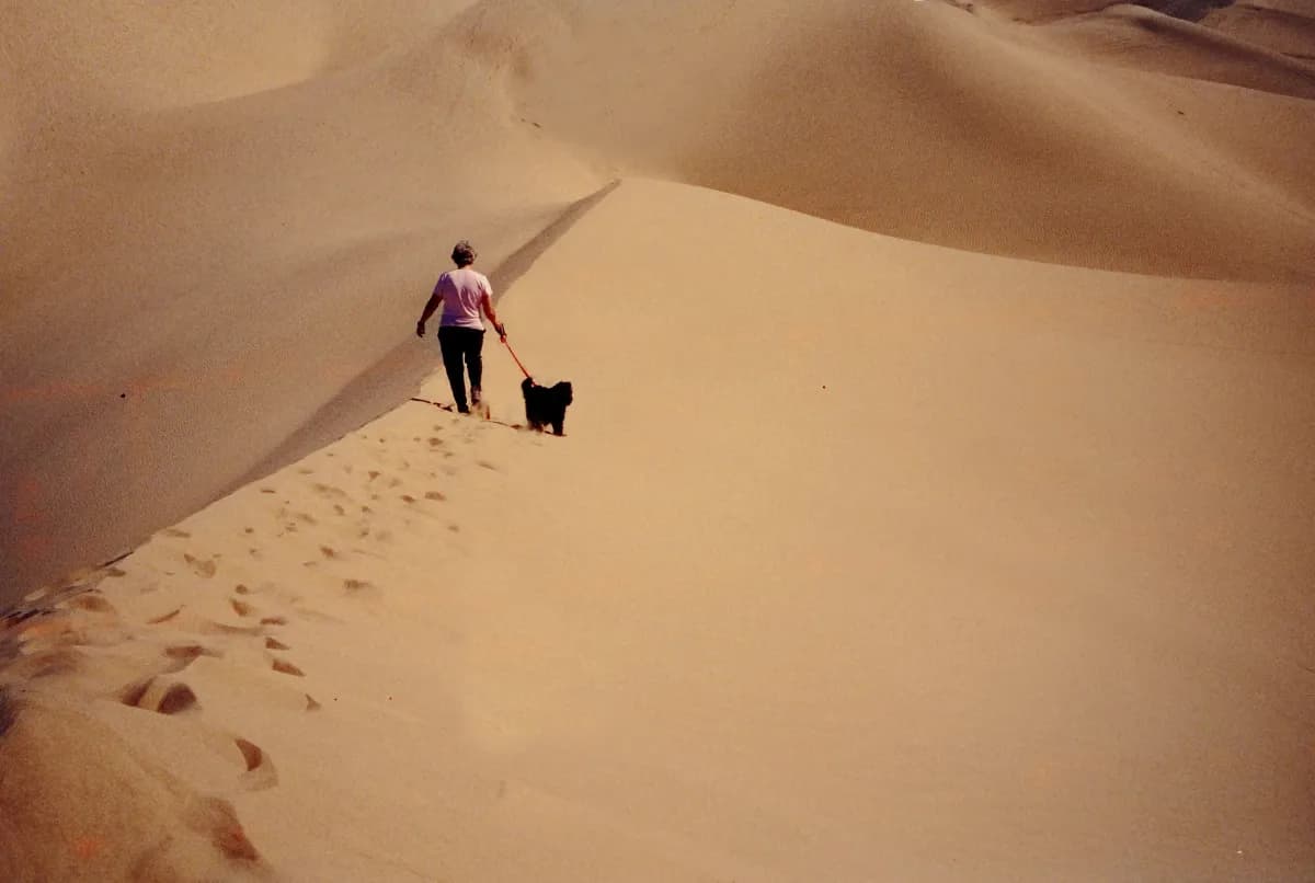 우리는 함께 하고