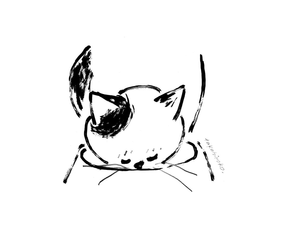 sleep (after eating)