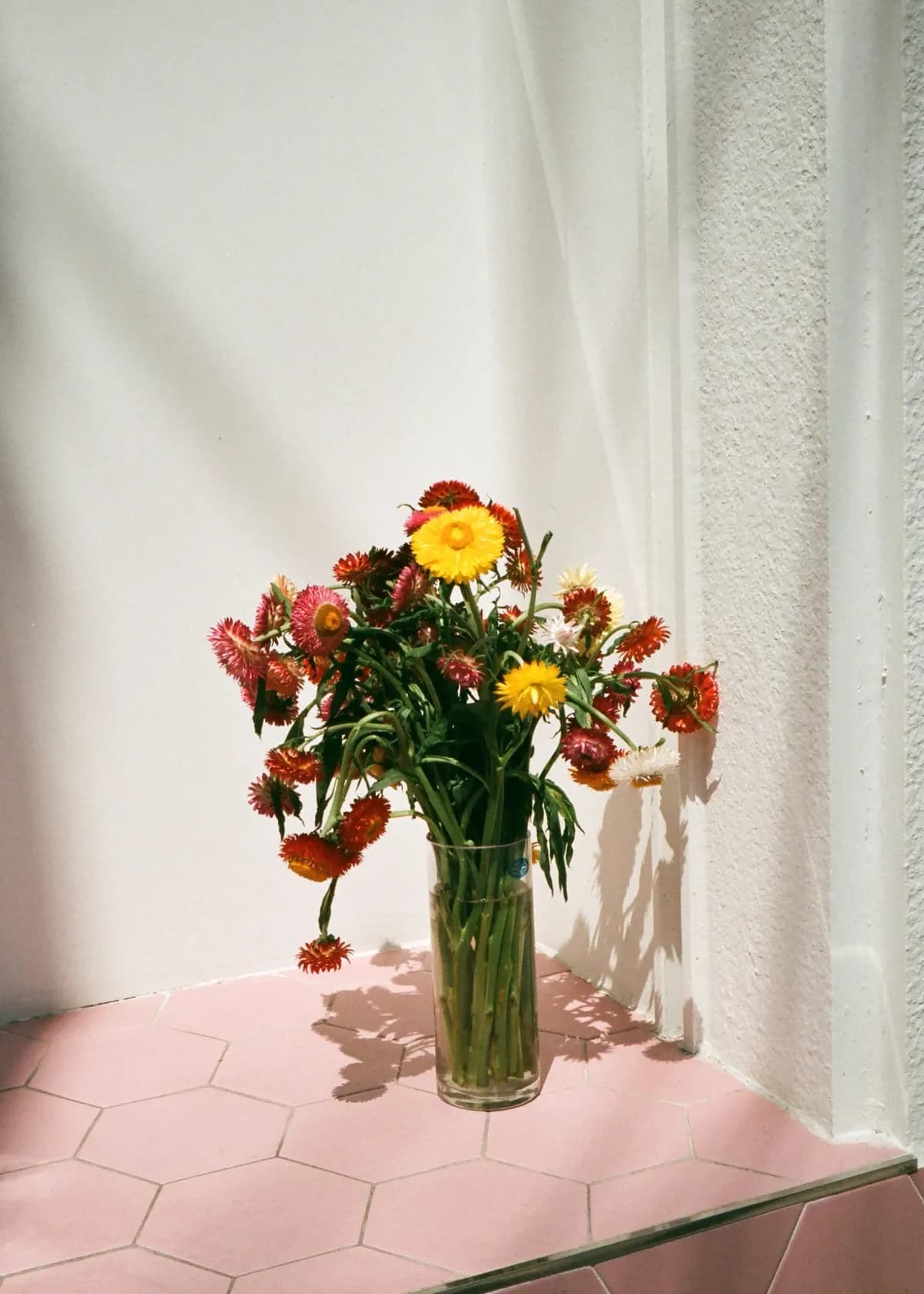 flower in vase
