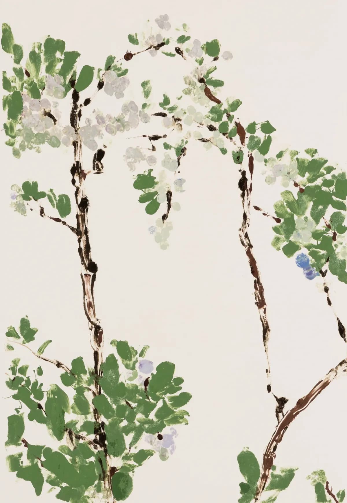 그레이베리 블루베리