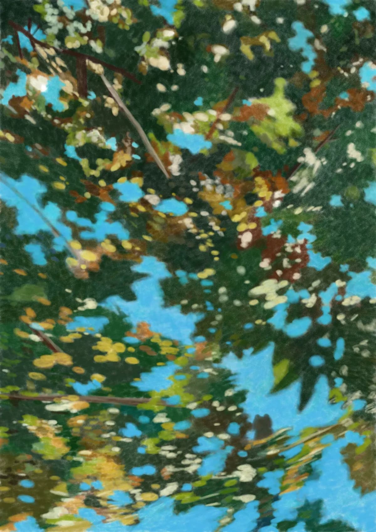 Sky through the trees