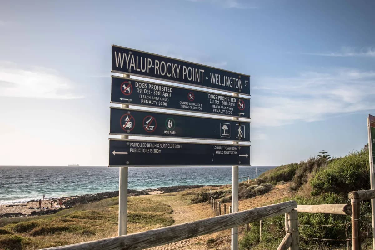 아름다운 해변을 위해