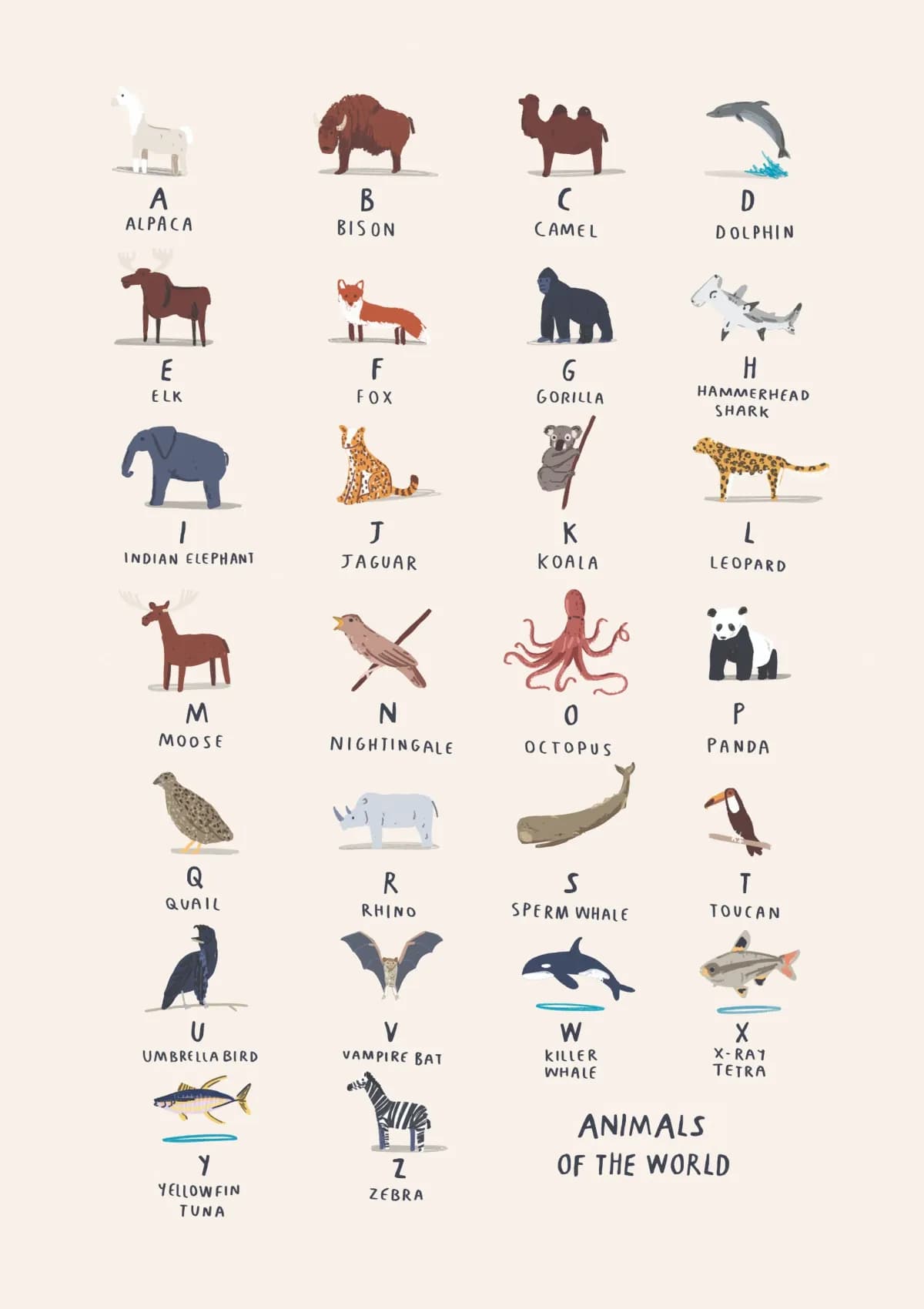The Animal Alphabet