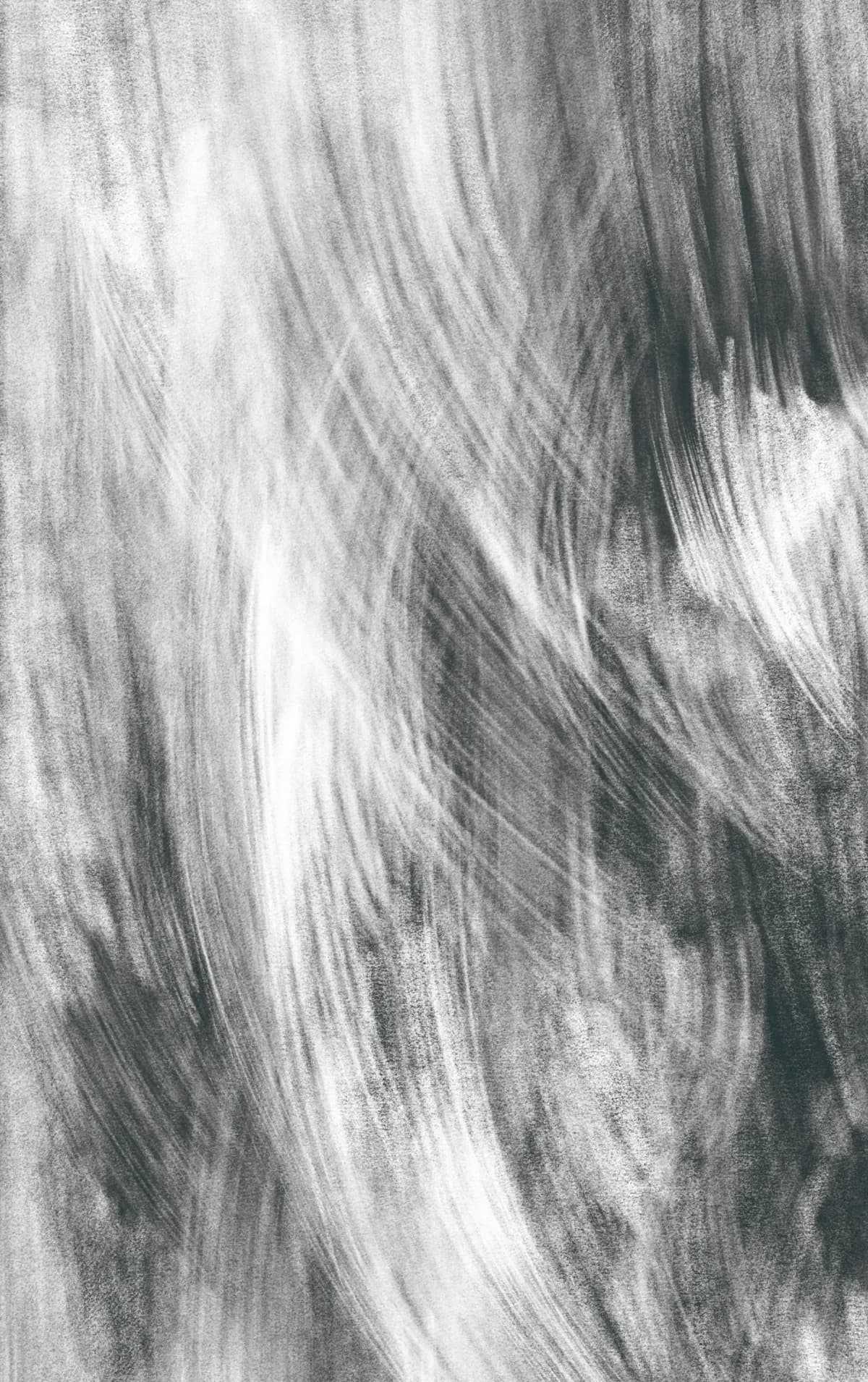White Bark
