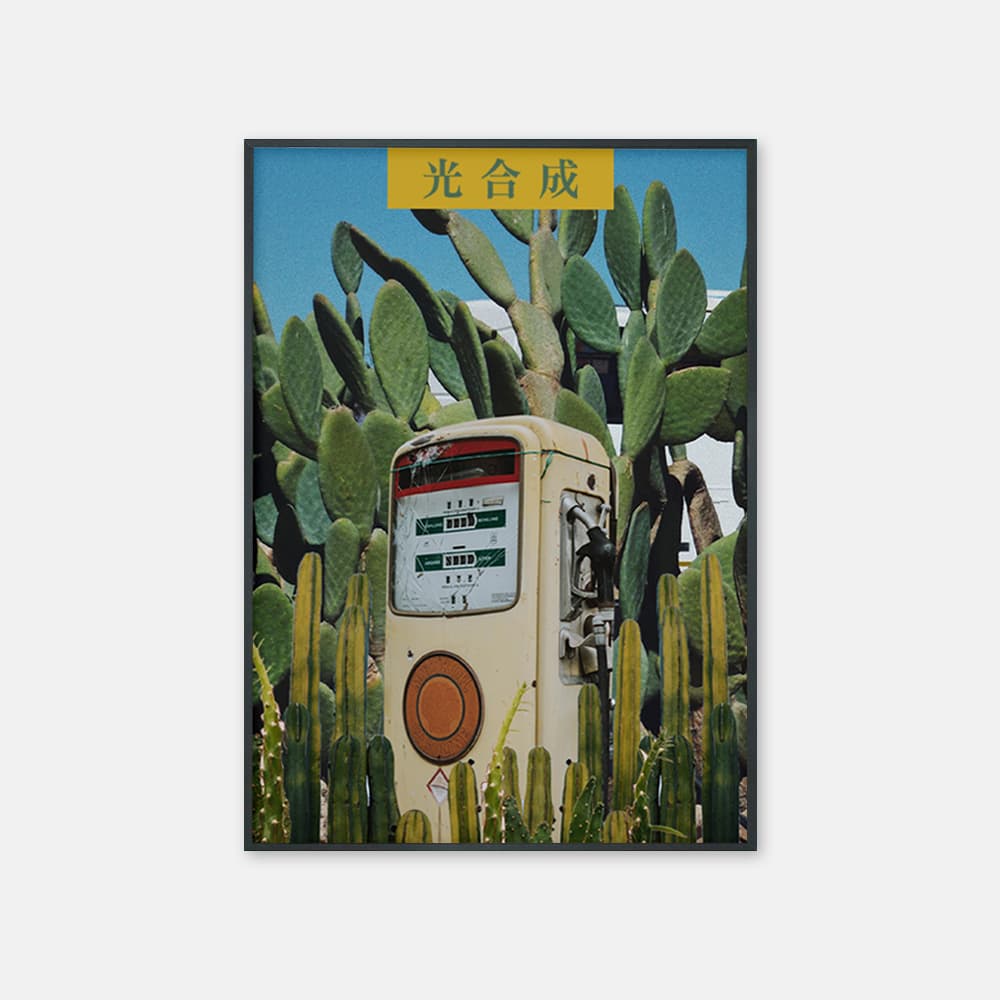광합성 선인장 포스터 이미지